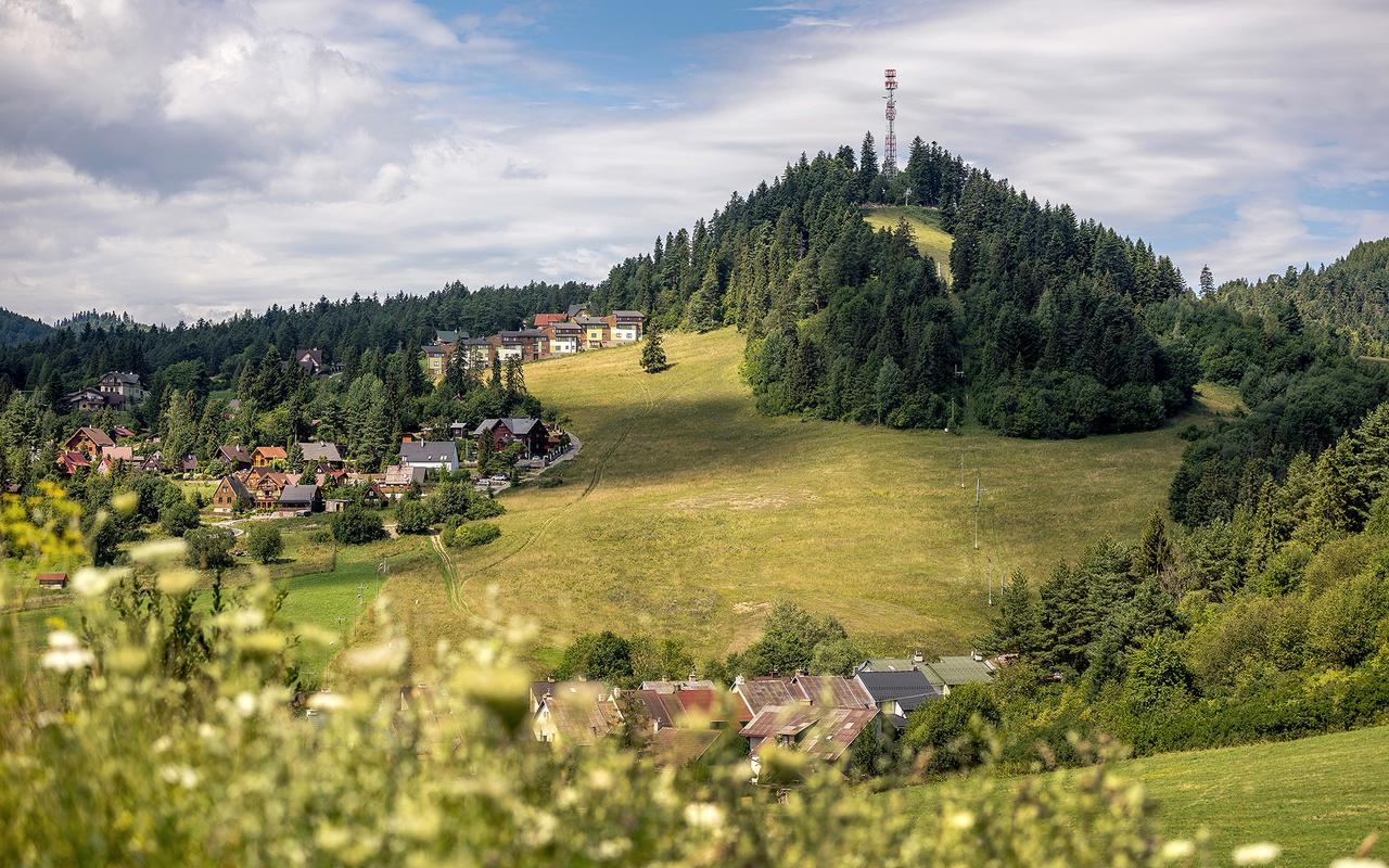 Penzion Sonja Вышне-Ружбахи Экстерьер фото