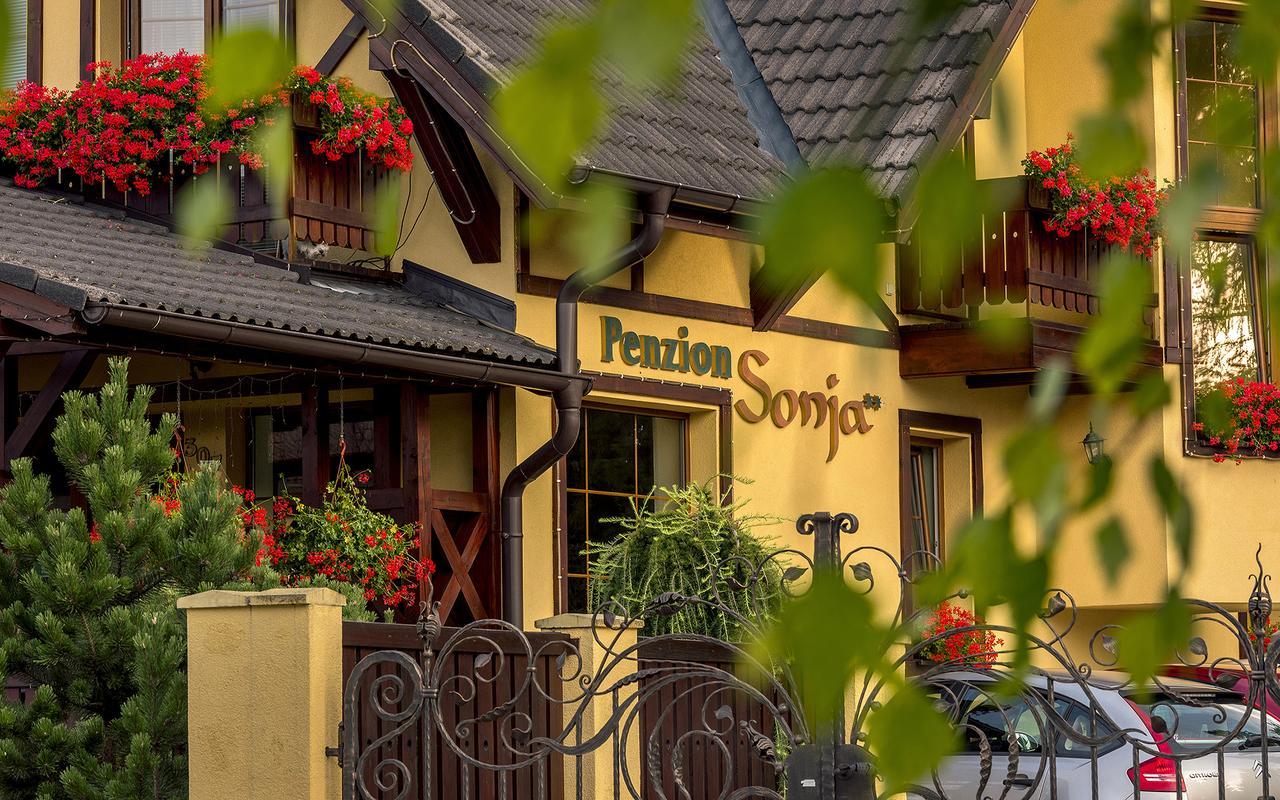 Penzion Sonja Вышне-Ружбахи Экстерьер фото
